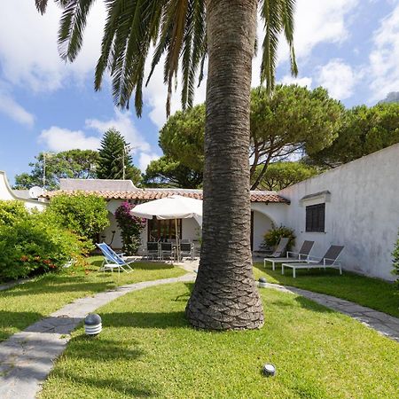 Villetta Con Giardino Esclusivo Di 1000 Mq, Piscina, Tennis, Calcio, Bocce Forio  Ngoại thất bức ảnh