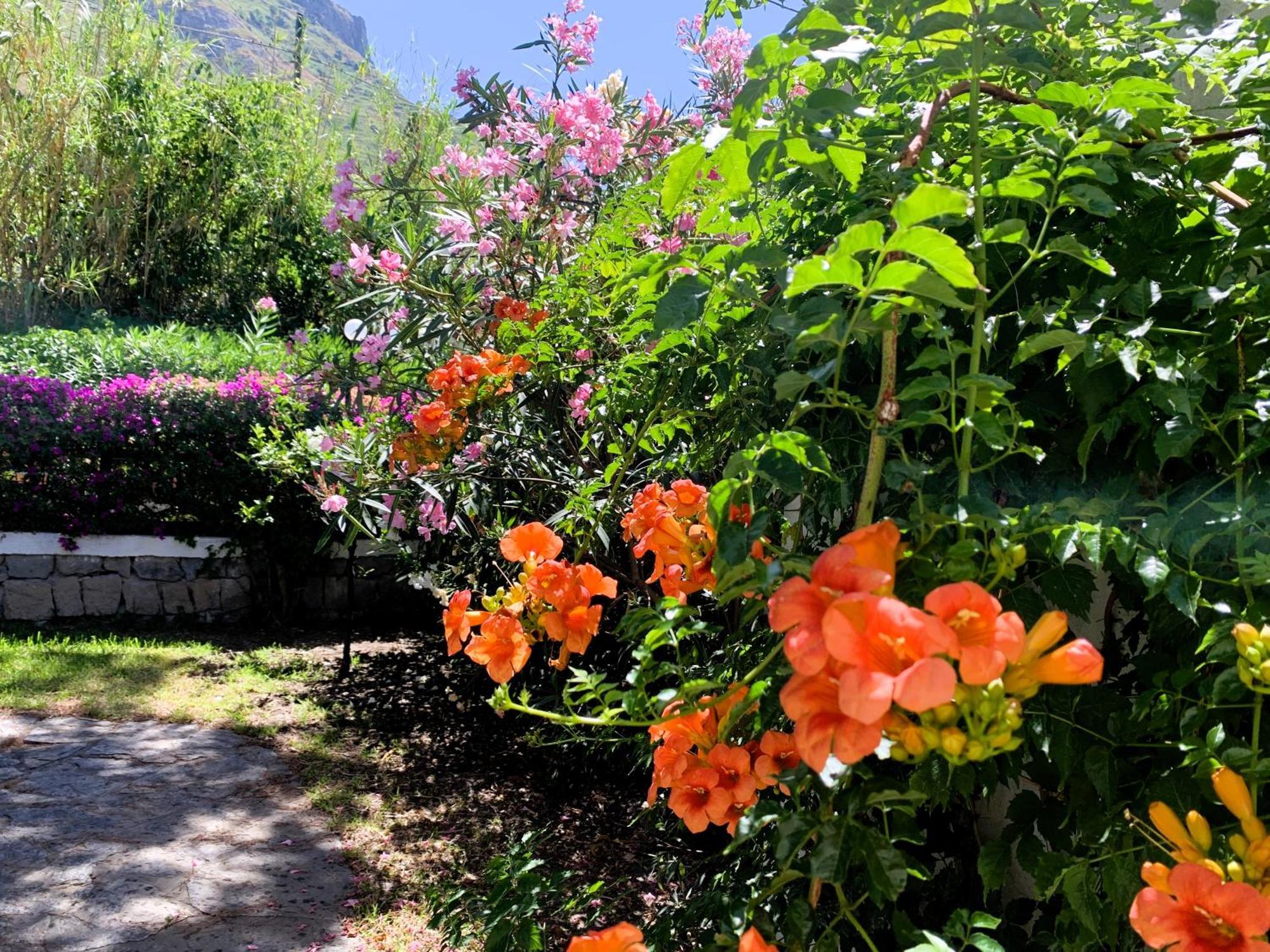 Villetta Con Giardino Esclusivo Di 1000 Mq, Piscina, Tennis, Calcio, Bocce Forio  Ngoại thất bức ảnh